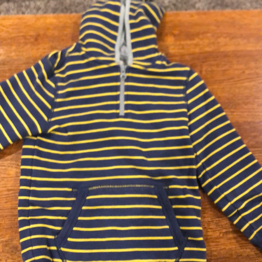 Mini Boden hoodie